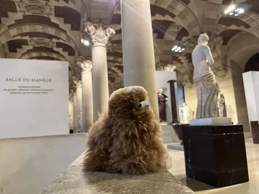 Louvre Museum Entry Ticket and Private Guided Tour - Tickets, Security Checks, and Photo Rules That Actually Matter