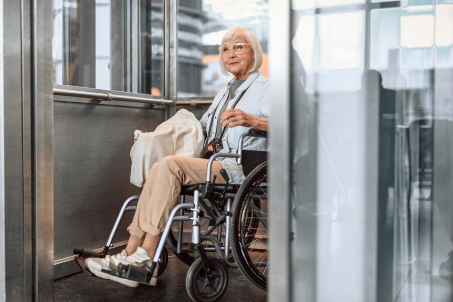 Wheelchair-Frendly Private Louvre Tour – Stress-Free & Easy - Ticket line stress: what “skip” changes for you