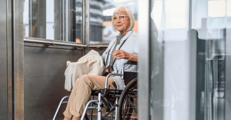 Wheelchair-Frendly Private Louvre Tour – Stress-Free & Easy - Who should book this tour?